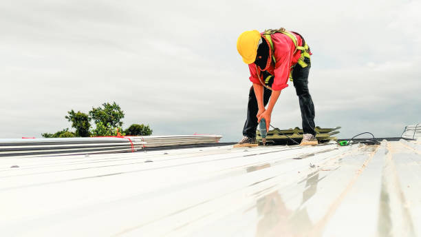 Best Roof Moss and Algae Removal  in West Berlin, NJ
